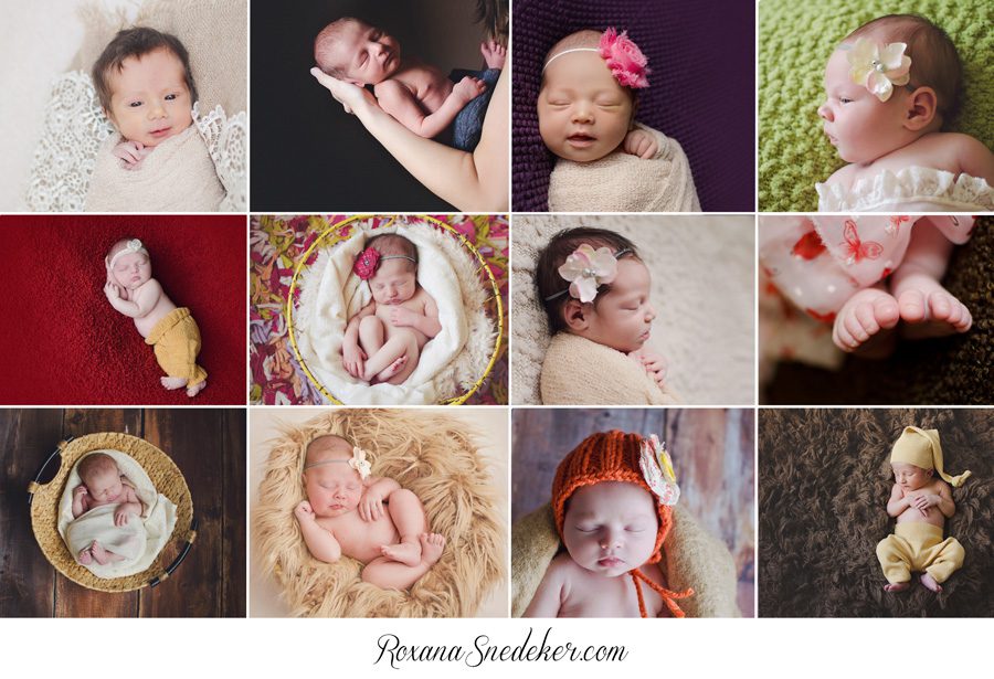 newborn 2013blog