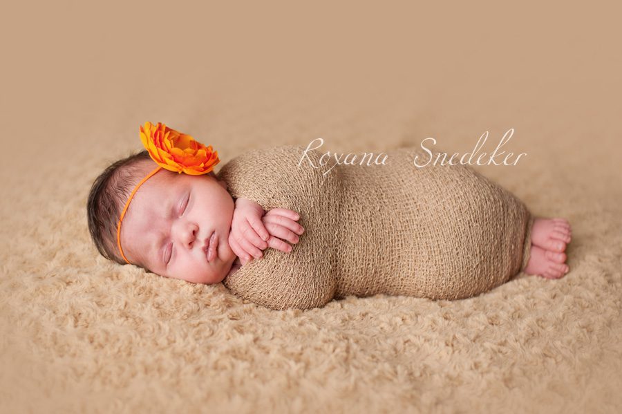 Noblesville Indiana newborn photographer, Carmel Newborn Photographer, Westfield Indiana, Cicero indiana, roxana Snedeker