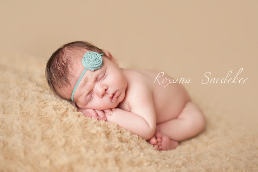Noblesville Indiana newborn photographer, Carmel Newborn Photographer, Westfield Indiana, Cicero indiana, roxana Snedeker