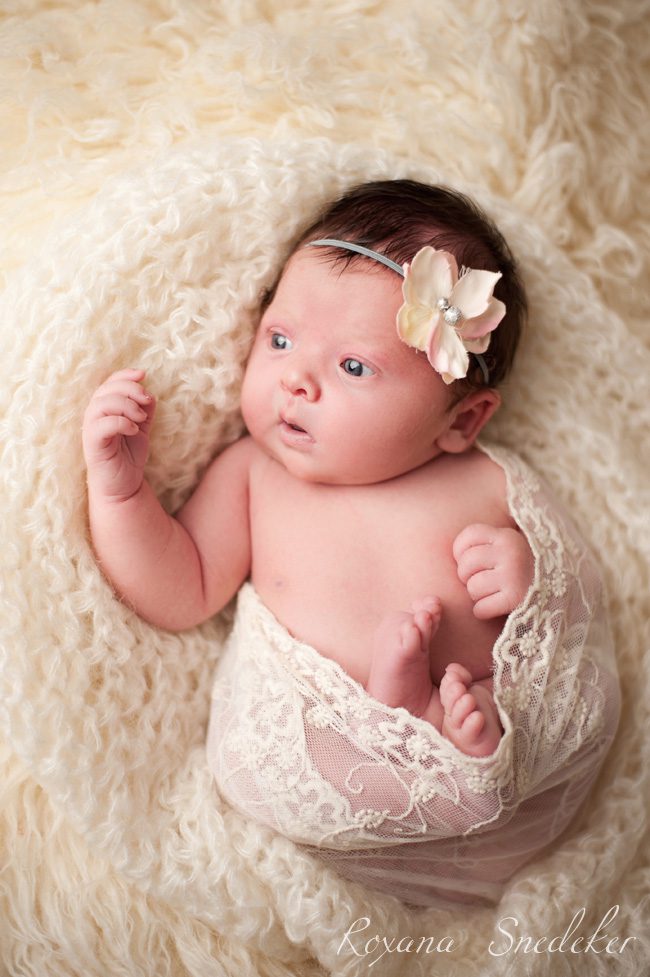 Noblesville Indiana newborn photographer, Carmel Newborn Photographer, Westfield Indiana, Cicero indiana, roxana Snedeker