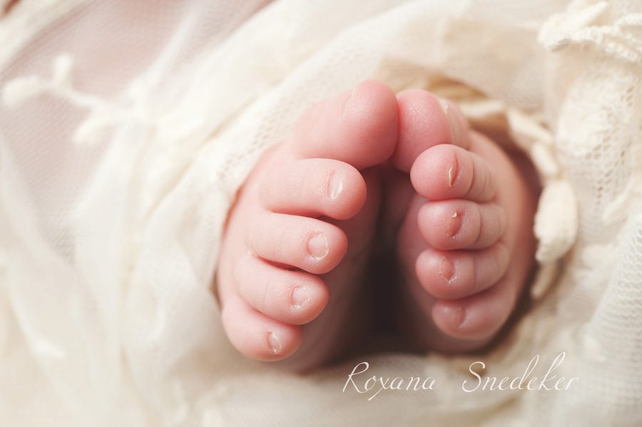 Noblesville Indiana newborn photographer, Carmel Newborn Photographer, Westfield Indiana, Cicero indiana, roxana Snedeker