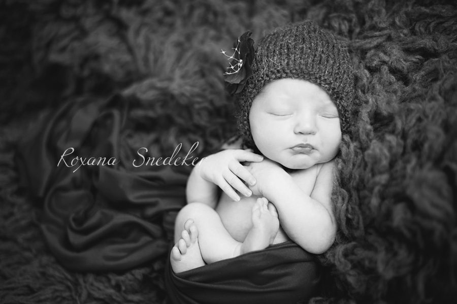 Newborn-photographer-indianapolis-zionsville-noblesville-6 Newborn photography Noblesville Indiana, Roxana Snedeker, newborn photographer indianapolis
