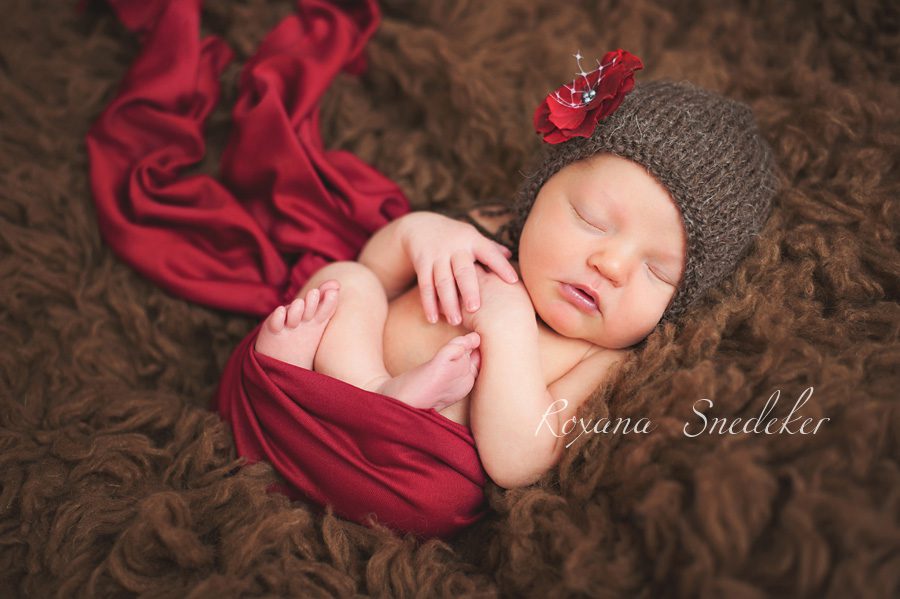 Newborn-photographer-indianapolis-zionsville-noblesville-2 Newborn photography Noblesville Indiana, Roxana Snedeker, newborn photographer indianapolis