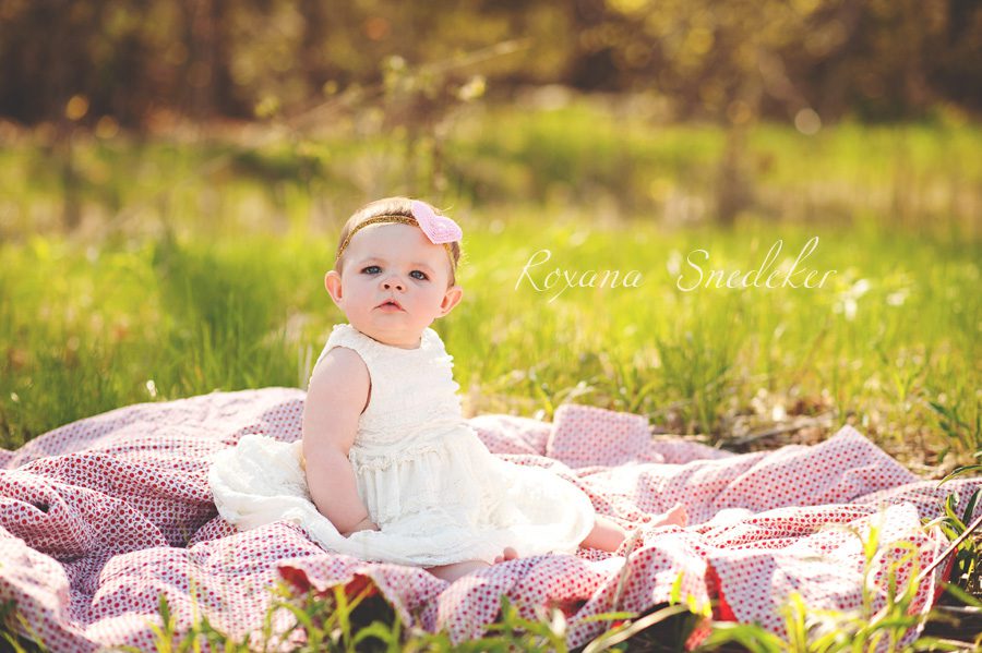 Carmel indiana photographer, Westfield family photography, Newborn Studio Photographer indianapolis