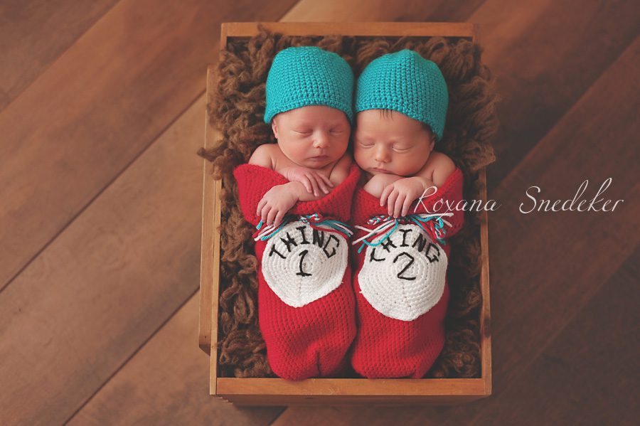 westfield indiana newborn photographer