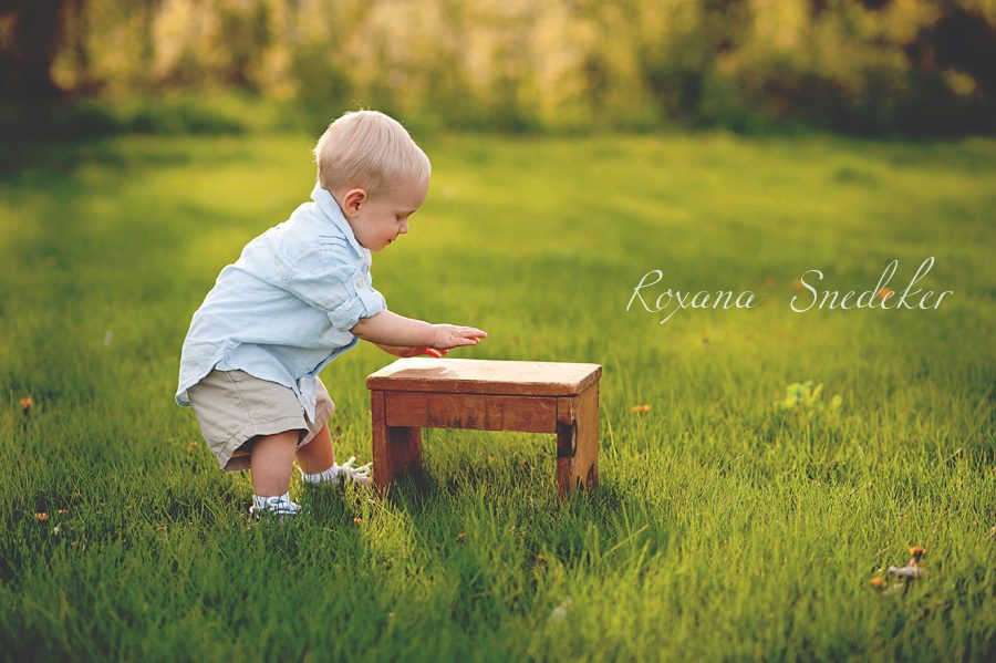 Carmel, Noblesville, Westfield cake smash session - hamilton county photographer