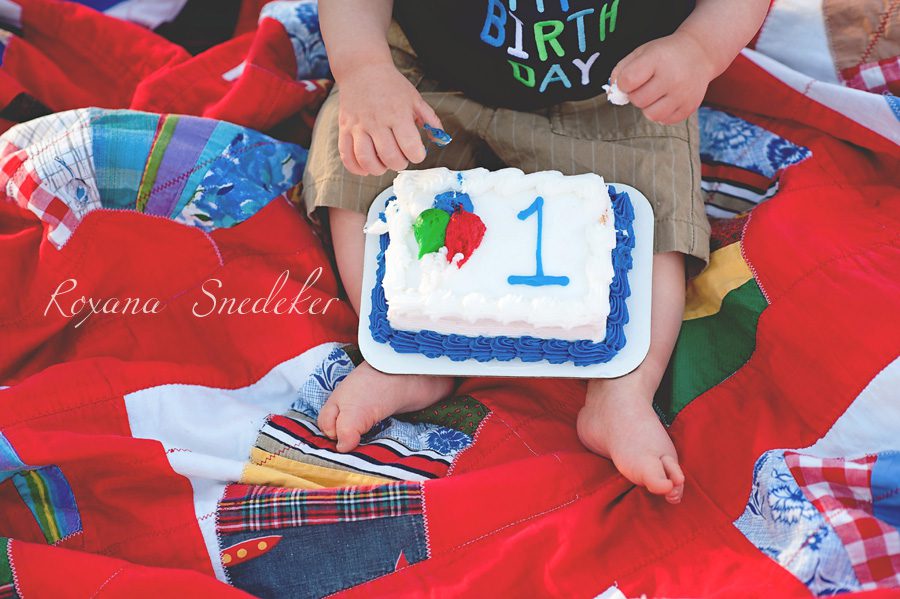 Carmel, Noblesville, Westfield cake smash session - hamilton county photographer