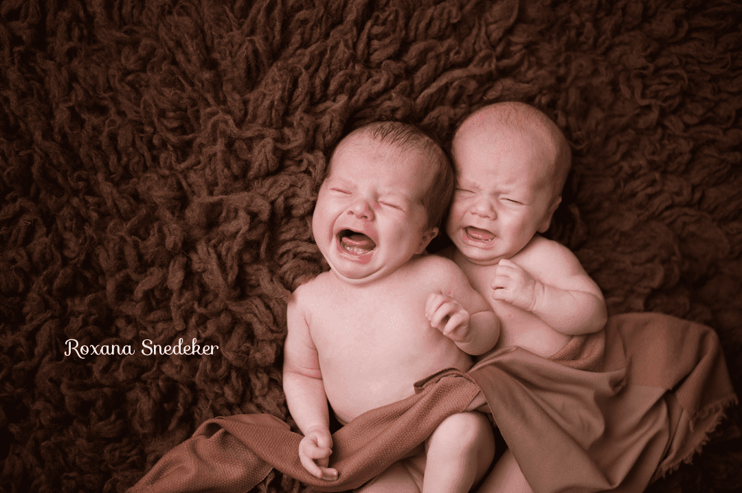 Twins newborn photographer in Carmel, Westfield, Noblesvile, Indiana