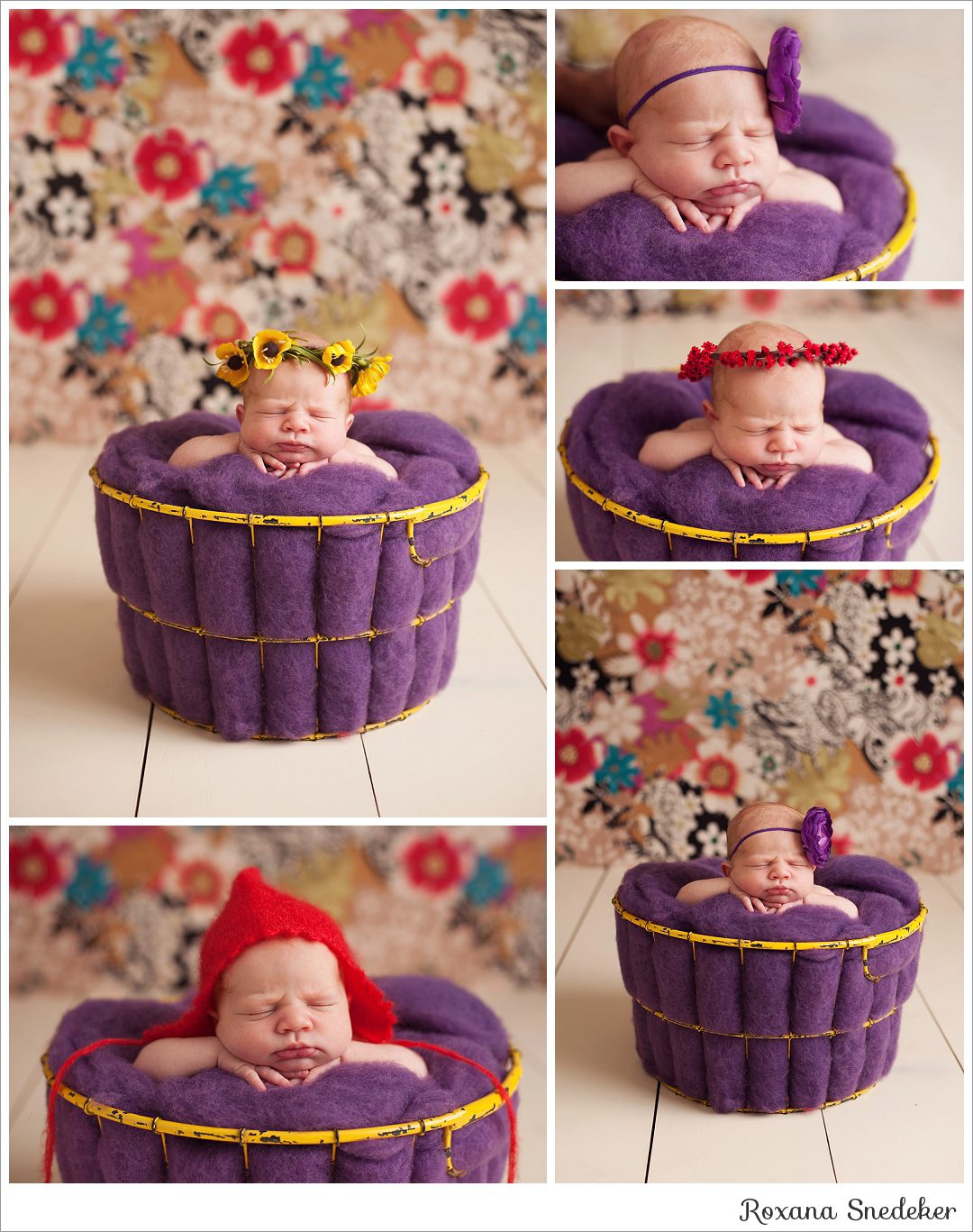 Indianapolis, In Newborn Photographer