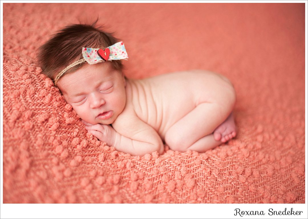 Twins Newborn Pictures | Noblesville, IN Photographer