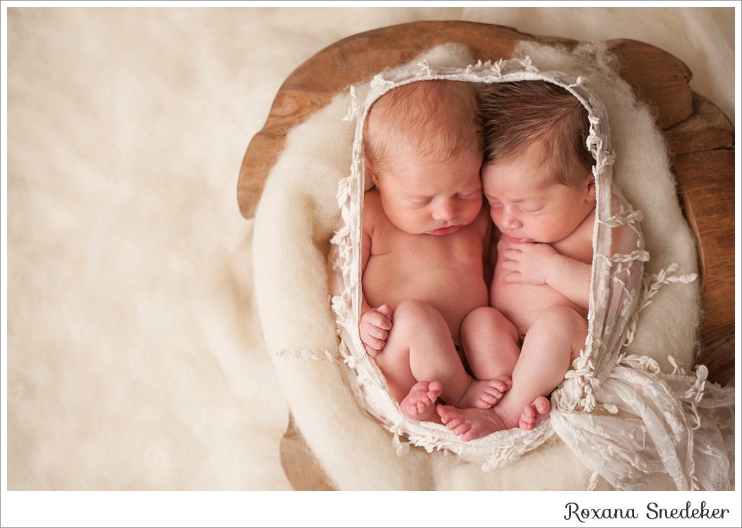 Twins Newborn Pictures | Noblesville, IN Photographer