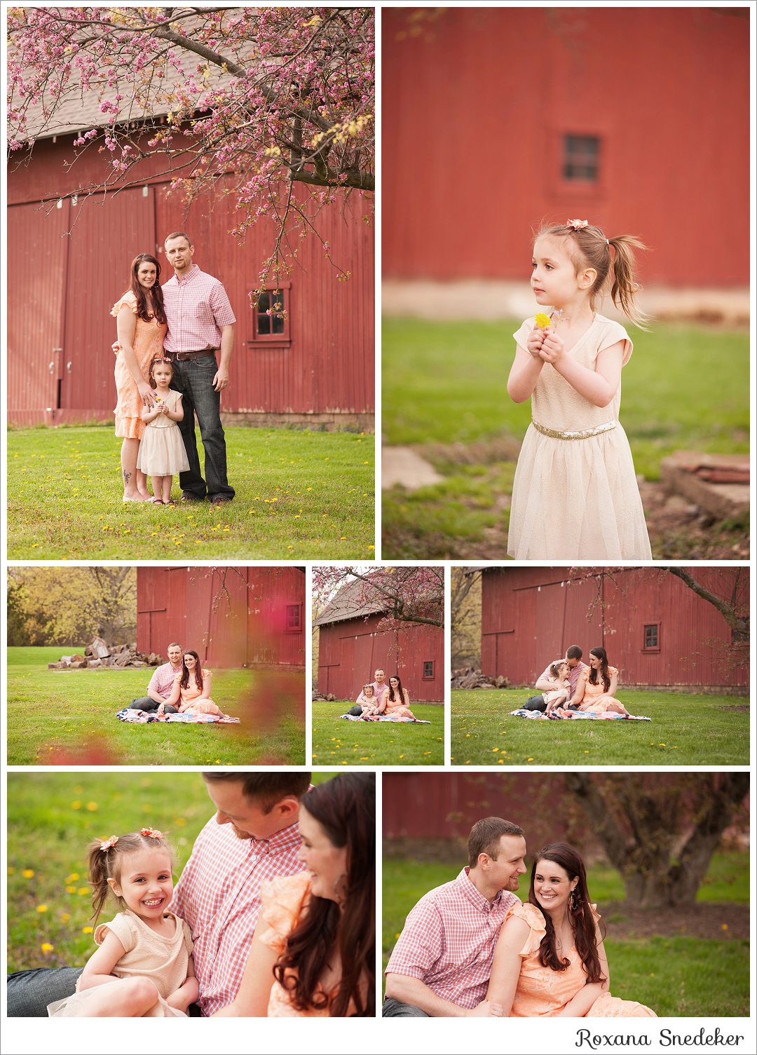 Noblesville, Indiana Newborn and Family Photographer
