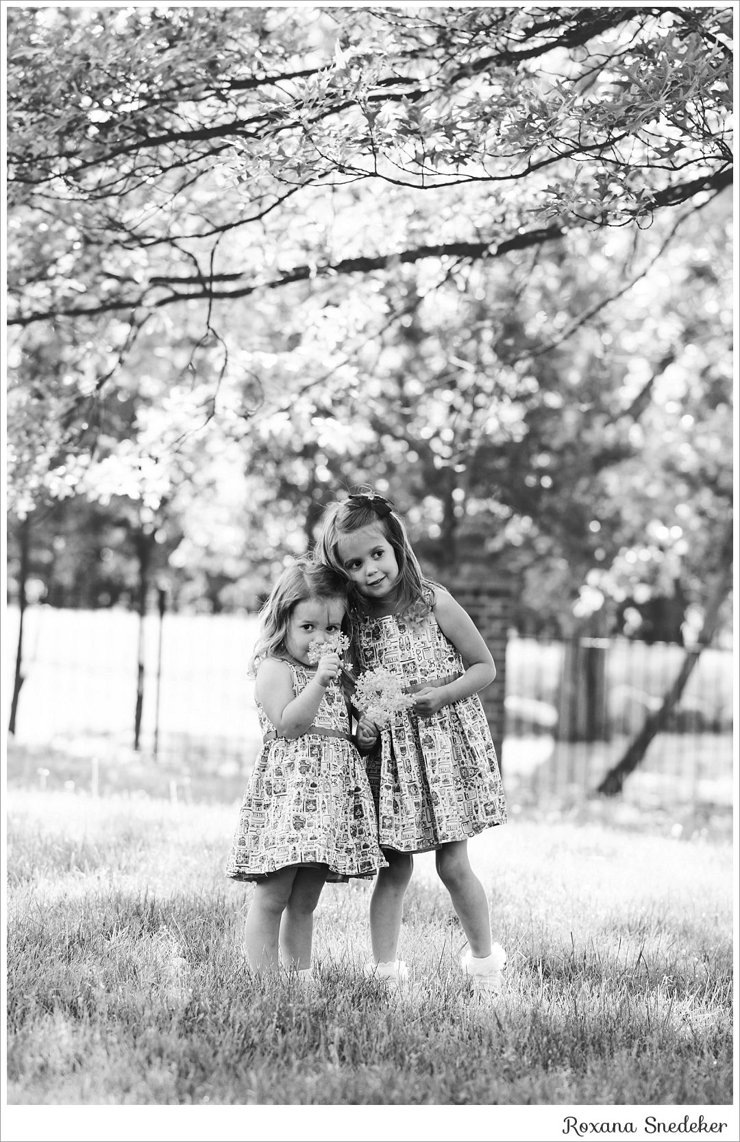 Carmel, Indiana Family and wedding photographer