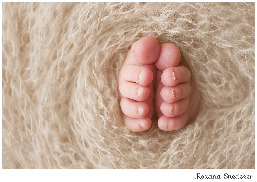 Indianapolis, IN Newborn Photographer