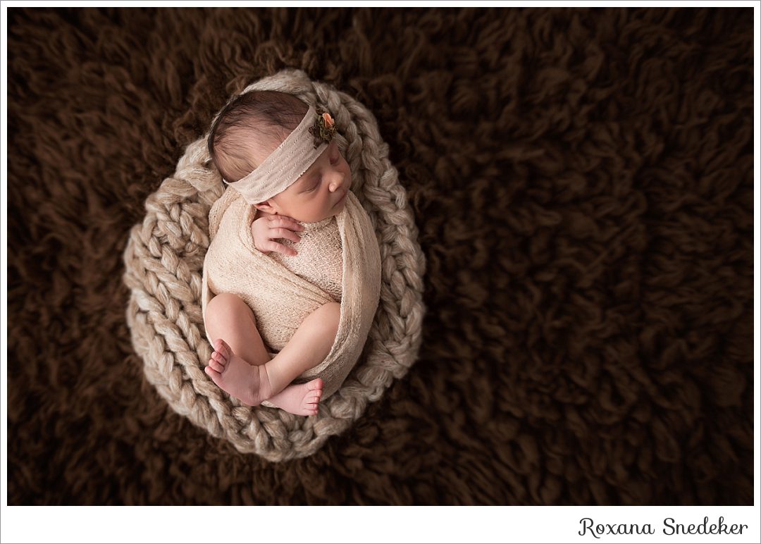 Indianapolis, IN Newborn Photographer