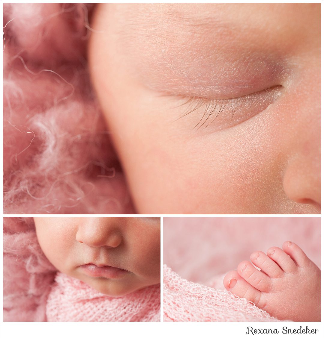 Carmel, Indiana Newborn photographer