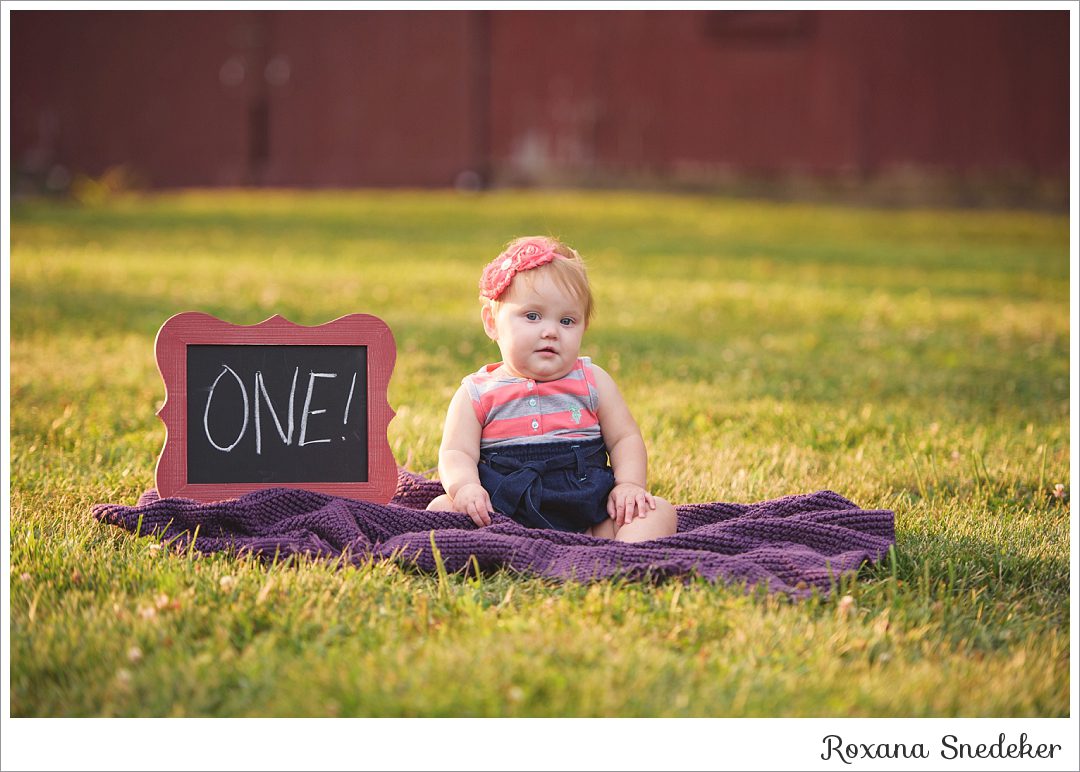 Westfield, Indiana Newborn and Wedding Photographer