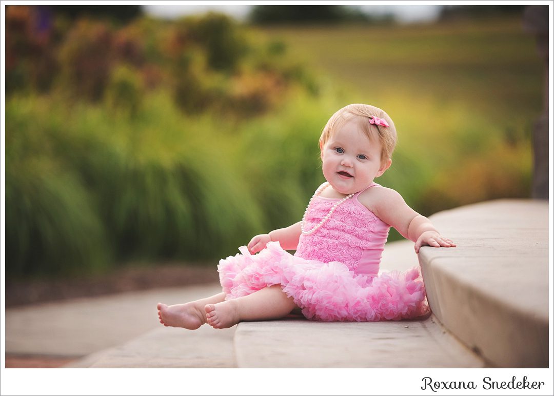 Westfield, Indiana Newborn and Wedding Photographer