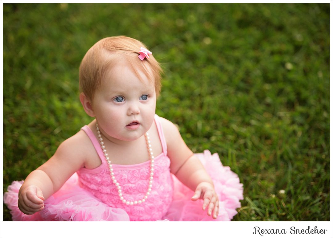 Westfield, Indiana Newborn and Wedding Photographer