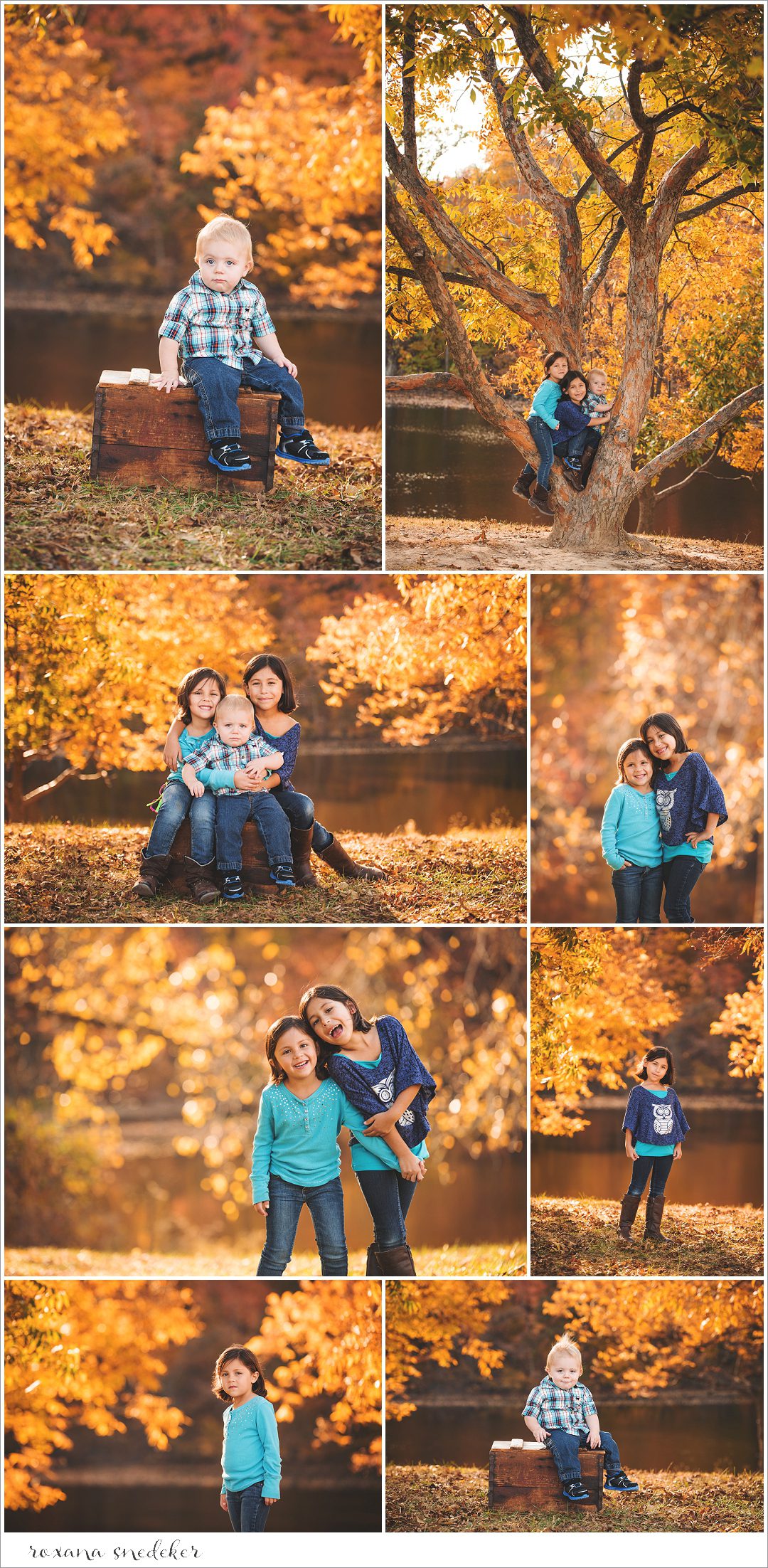 Anderson Orchard | Family and Maternity Photographer
