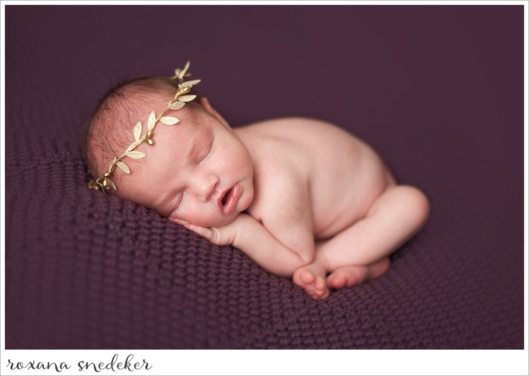 Newborn Photographer in Carmel, Indiana | Roxana Snedeker