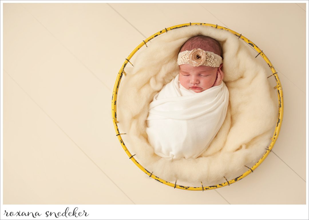 Newborn Photographer in Carmel, Indiana | Roxana Snedeker
