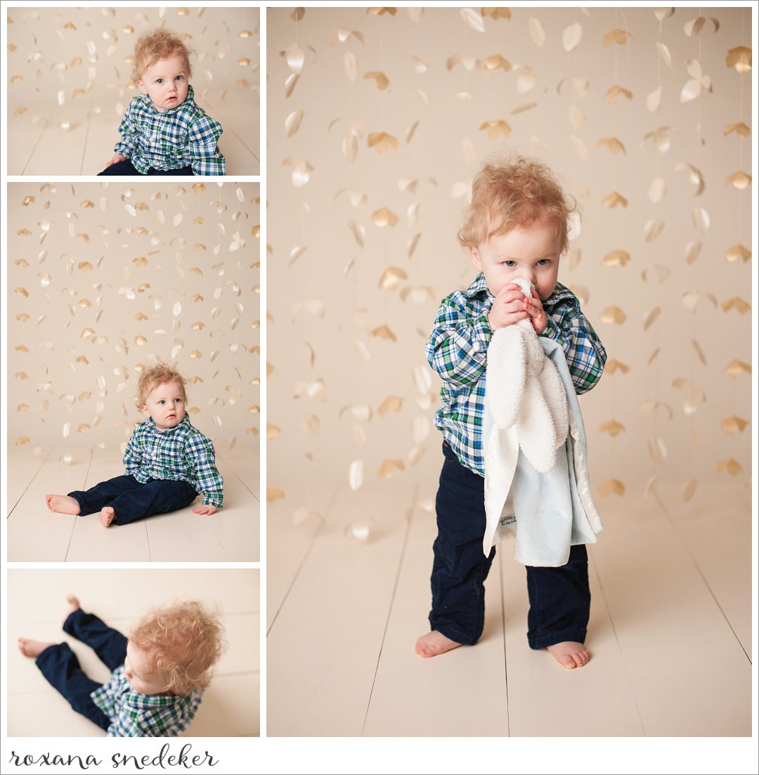 Twins Cake Smash | Roxana Snedeker Family Photographer