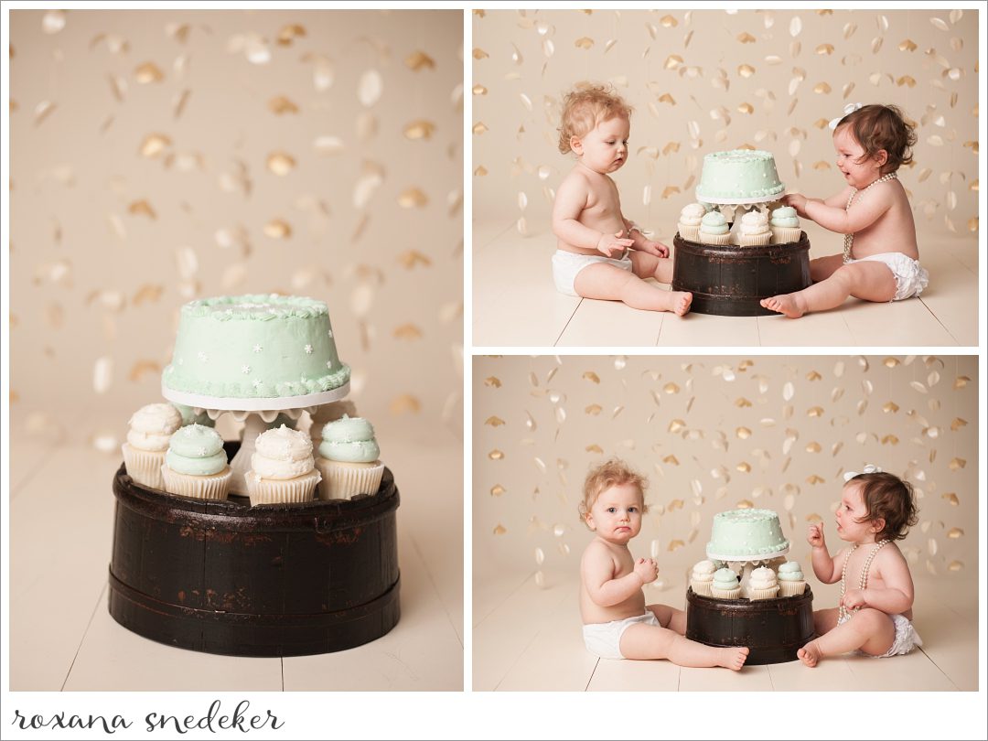 Roxana-Snedeker-Indianapolis-Noblesville-Carmel-Fishers-Family-Cake-Smash-photographer-_0058