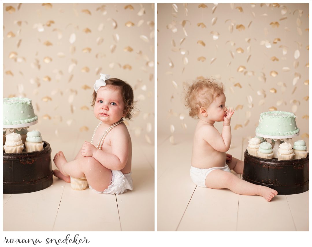 Twins Cake Smash | Roxana Snedeker Family Photographer