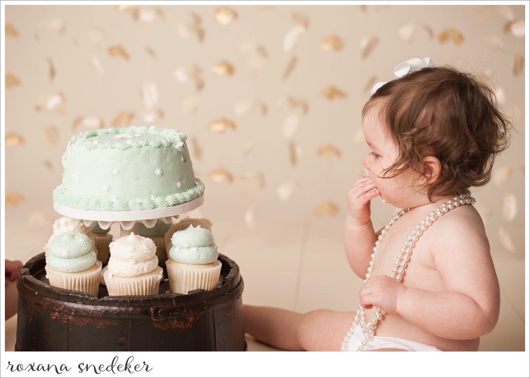 Roxana-Snedeker-Indianapolis-Noblesville-Carmel-Fishers-Family-Cake-Smash-photographer-_0062
