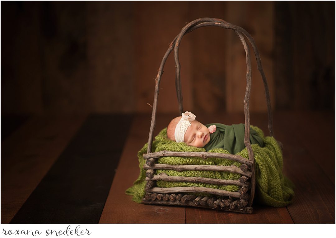 Zionsville, IN Newborn Photographer