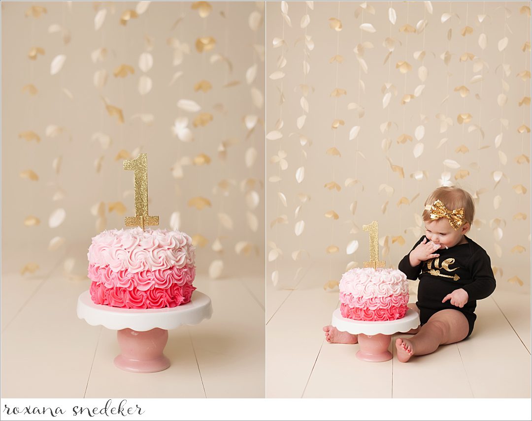 Cake Smash Noblesville, Indiana