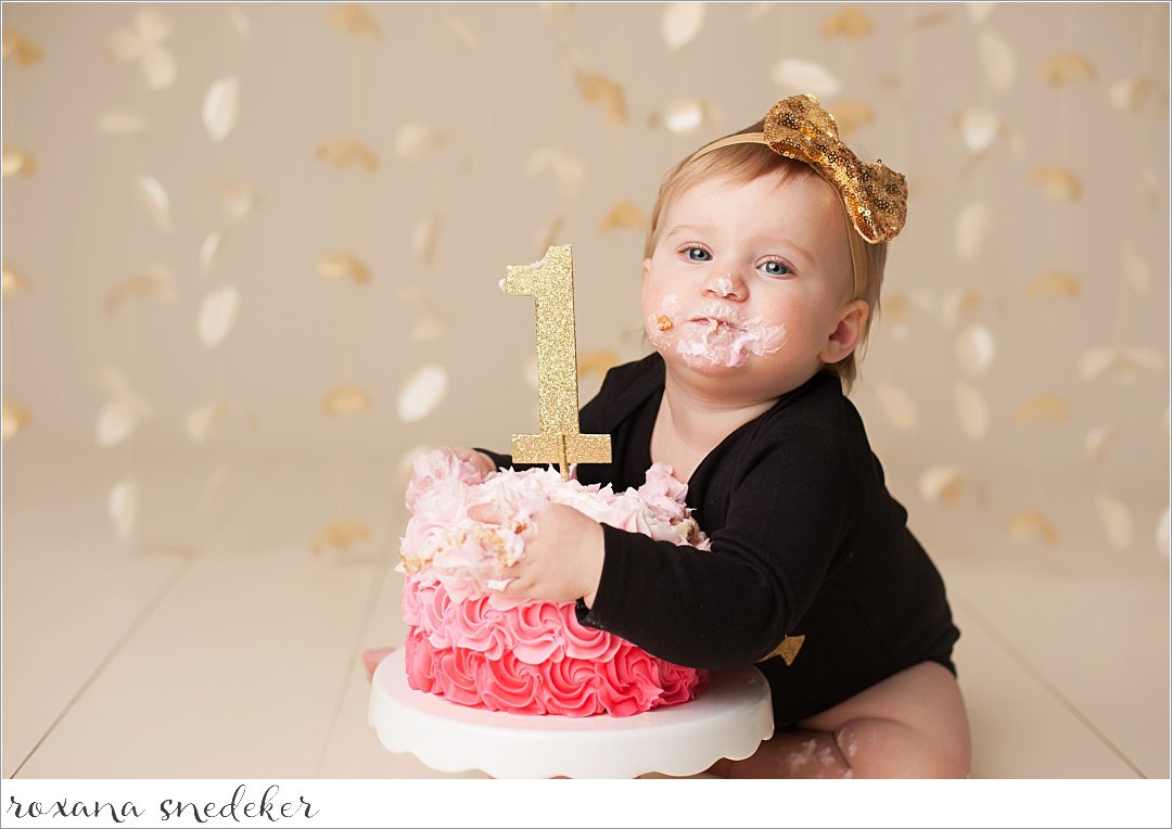 Cake Smash Noblesville, Indiana