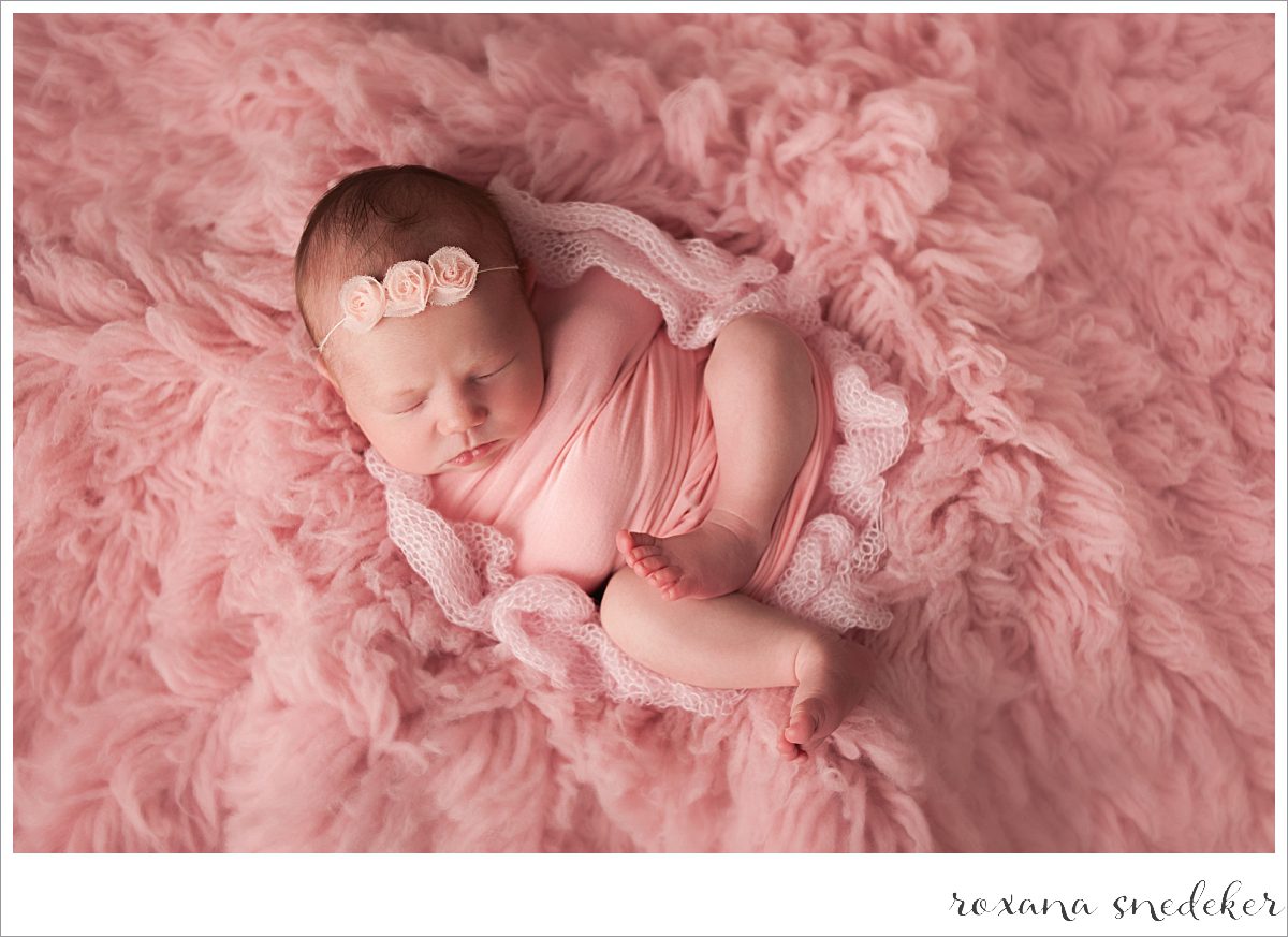 Newborn Pictures Carmel, Indiana Photographer