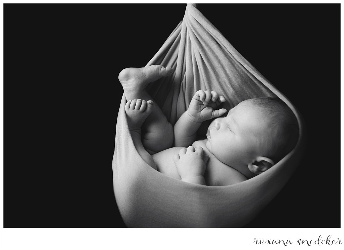 Newborn Pictures Carmel, Indiana Photographer