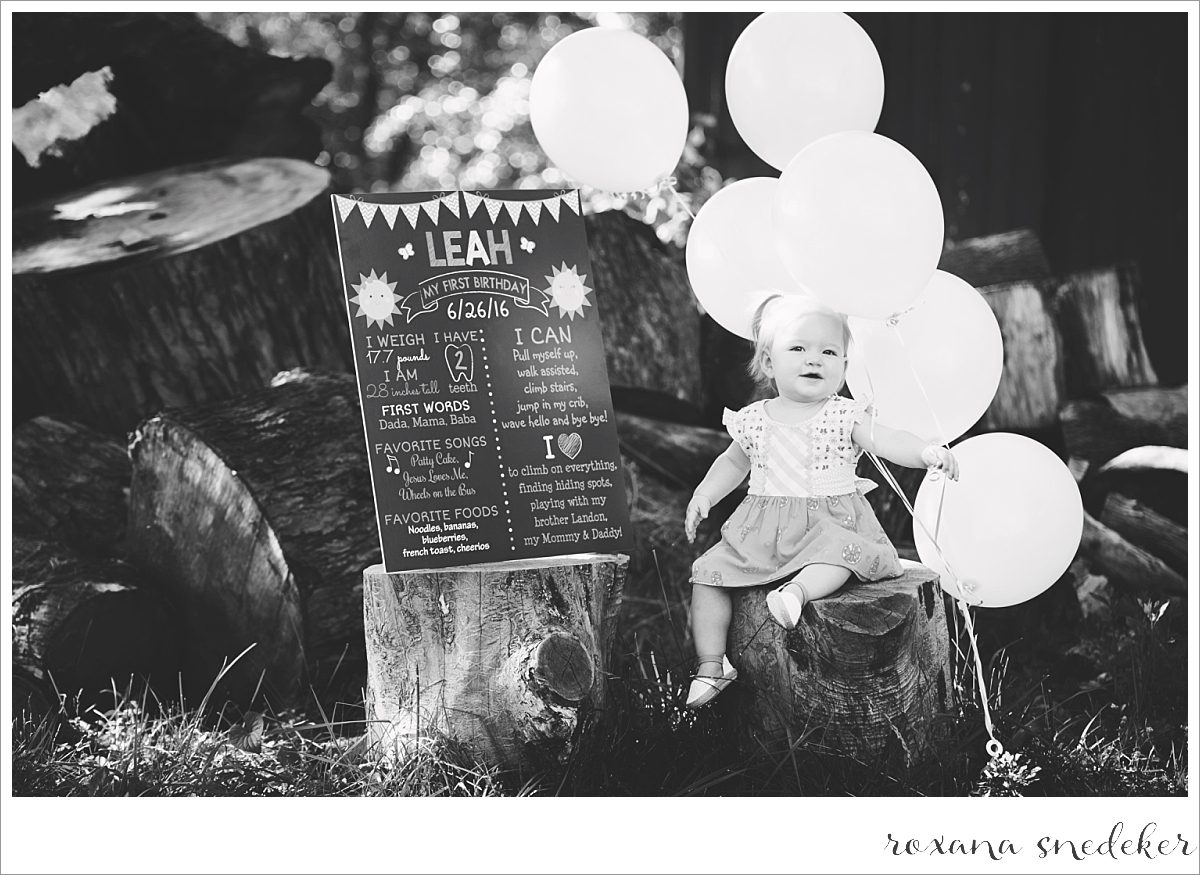 Cake Smash Carmel, IN Photographer