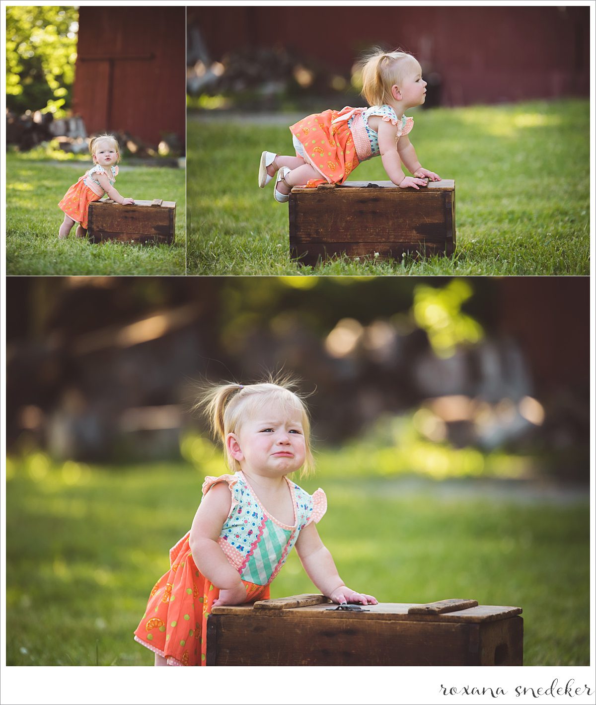 Cake Smash Carmel, IN Photographer