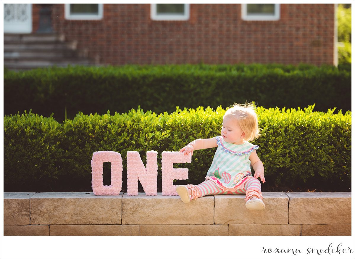 Cake Smash Carmel, IN Photographer