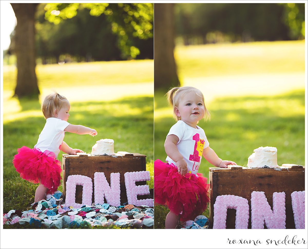 Cake Smash Carmel, IN Photographer