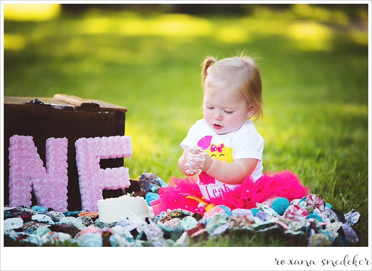 Cake Smash Carmel, IN Photographer
