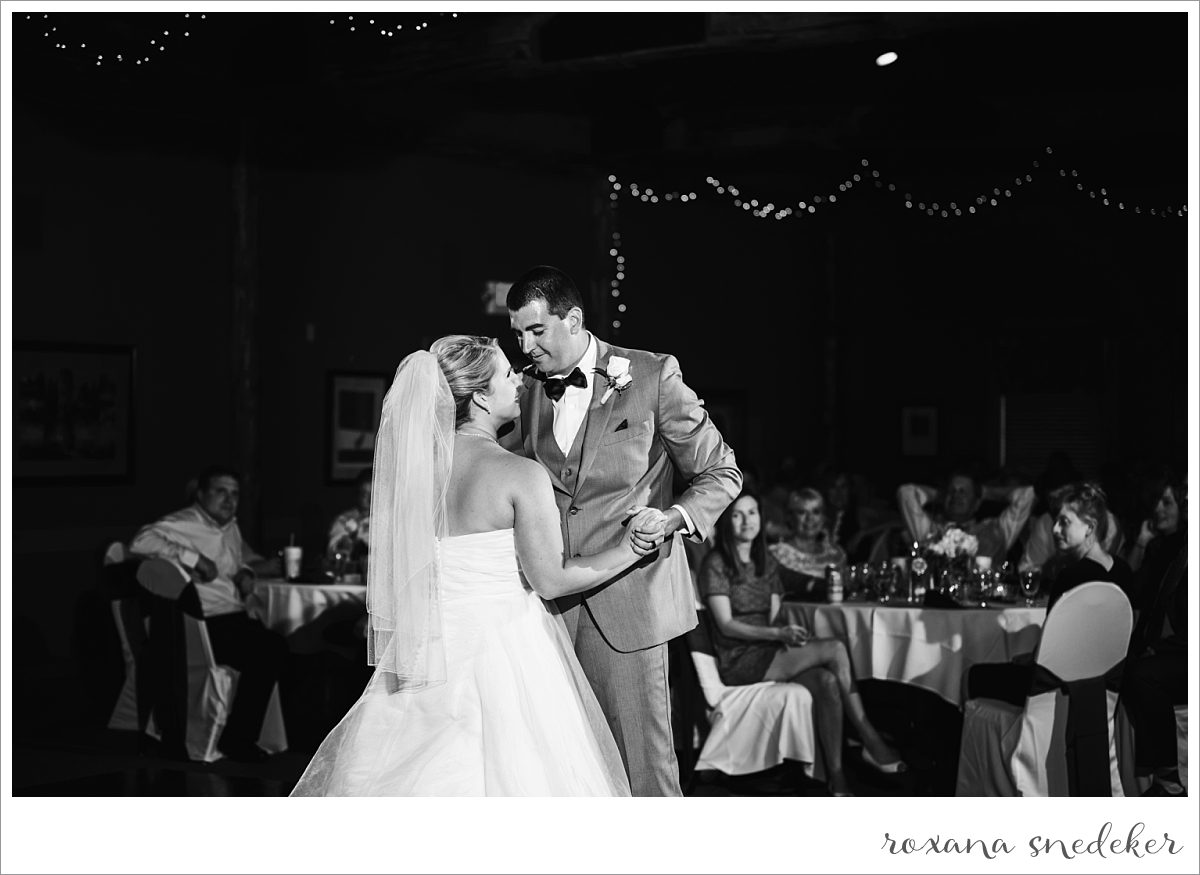 Indianapolis Wedding Photographer