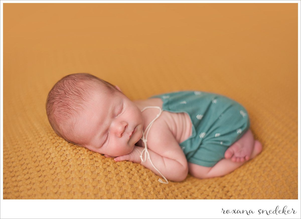 Westfield, In Newborn Photography