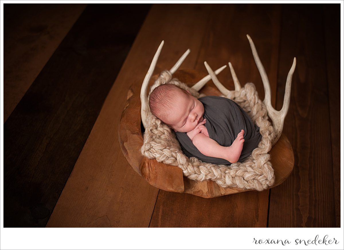 Westfield, In Newborn Photography