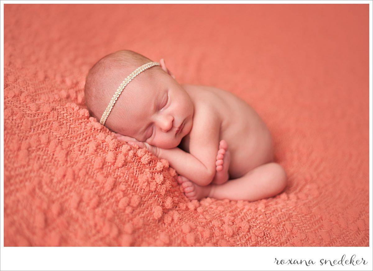 Indianapolis Newborn Photographer Roxana Snedeker