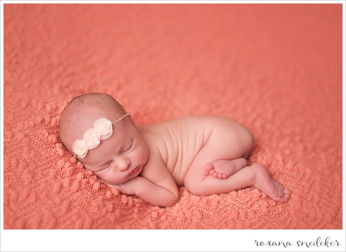 Indianapolis Newborn Photographer Roxana Snedeker