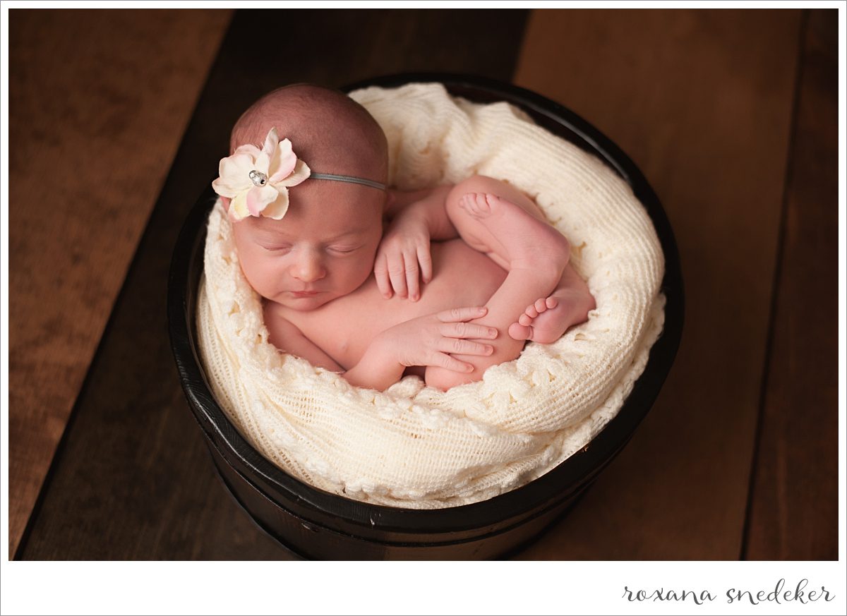 Indianapolis Newborn Photographer Roxana Snedeker