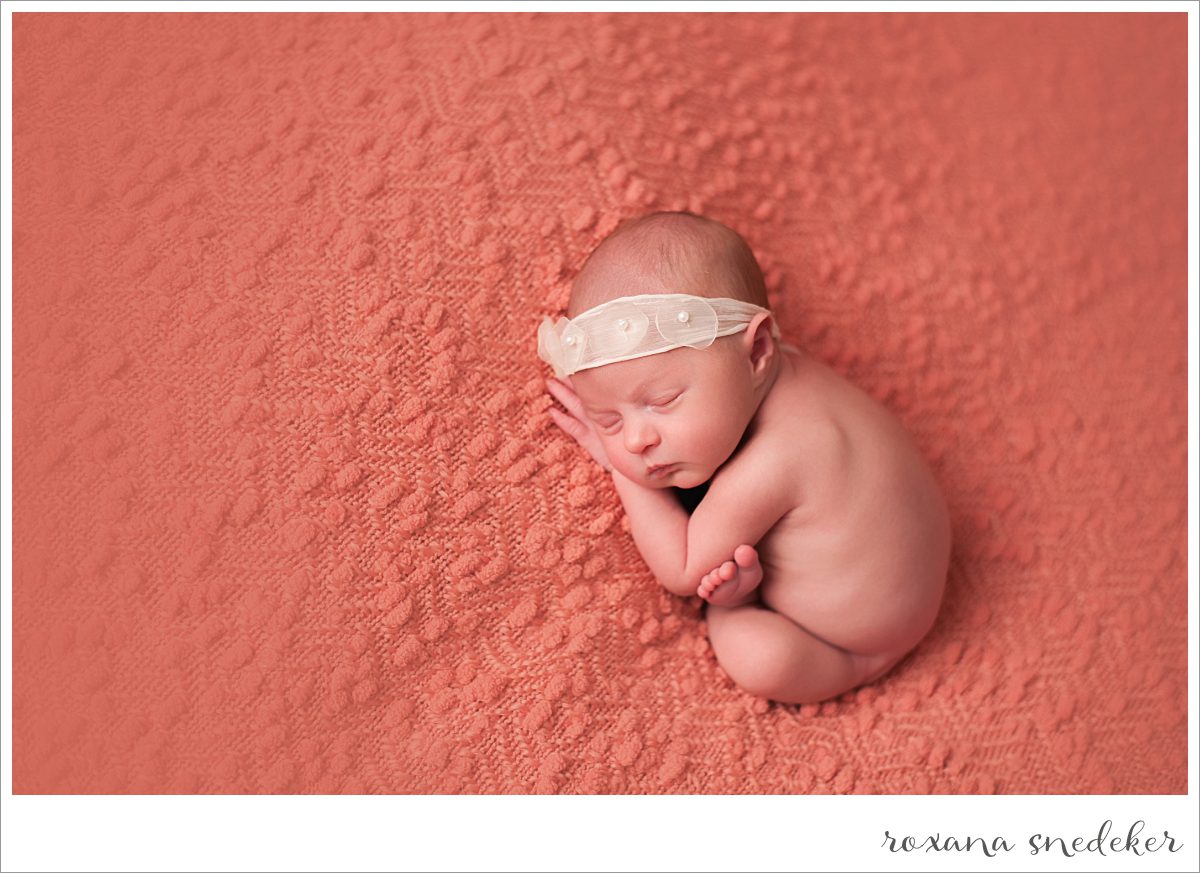 Indianapolis Newborn Photographer Roxana Snedeker