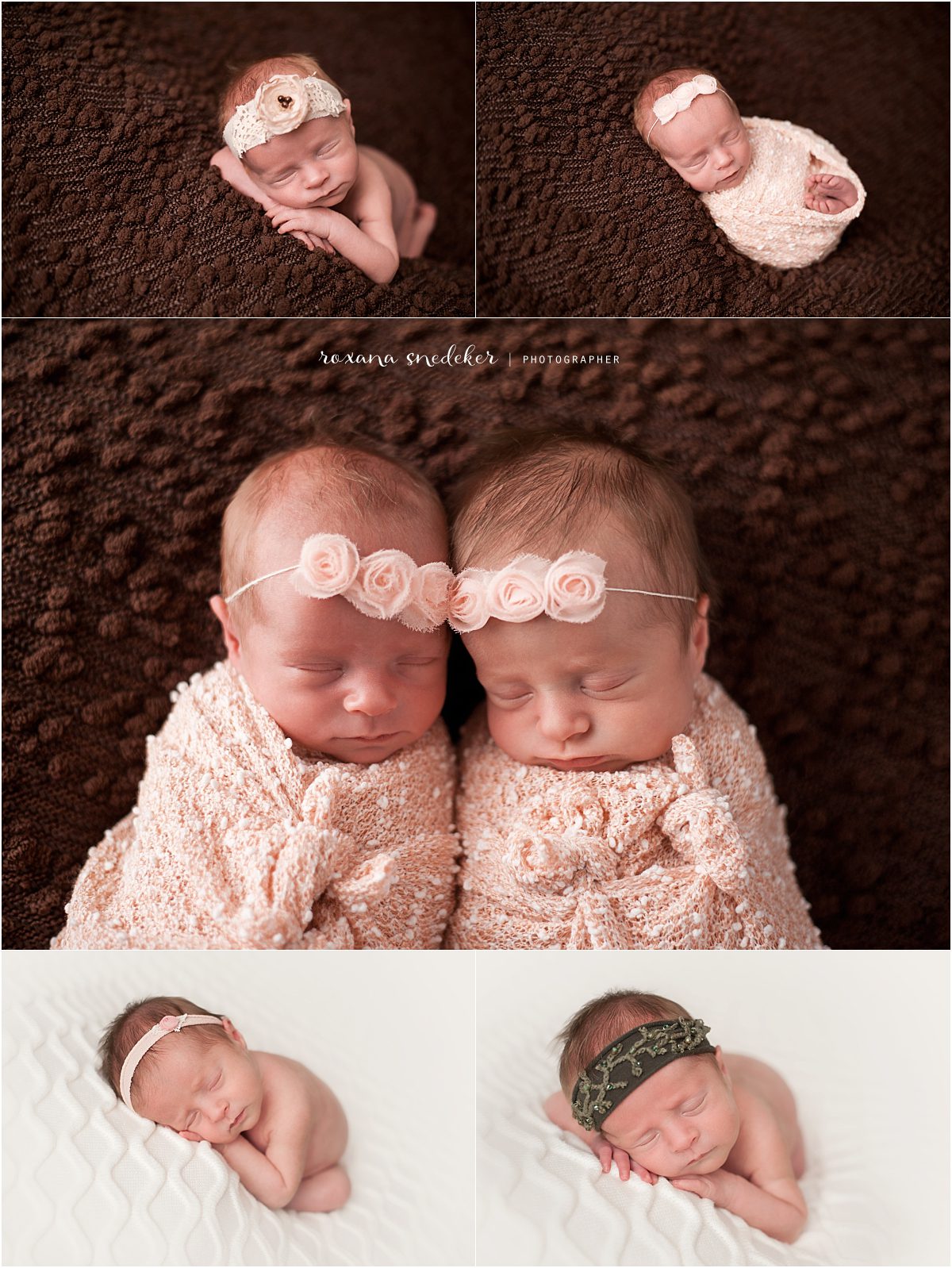 Newborn Session Twins Baby Photographer