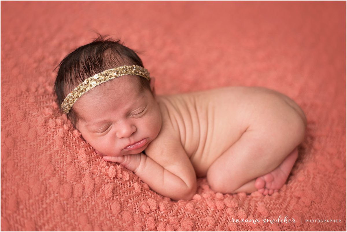 Newborn Photographer Indianapolis