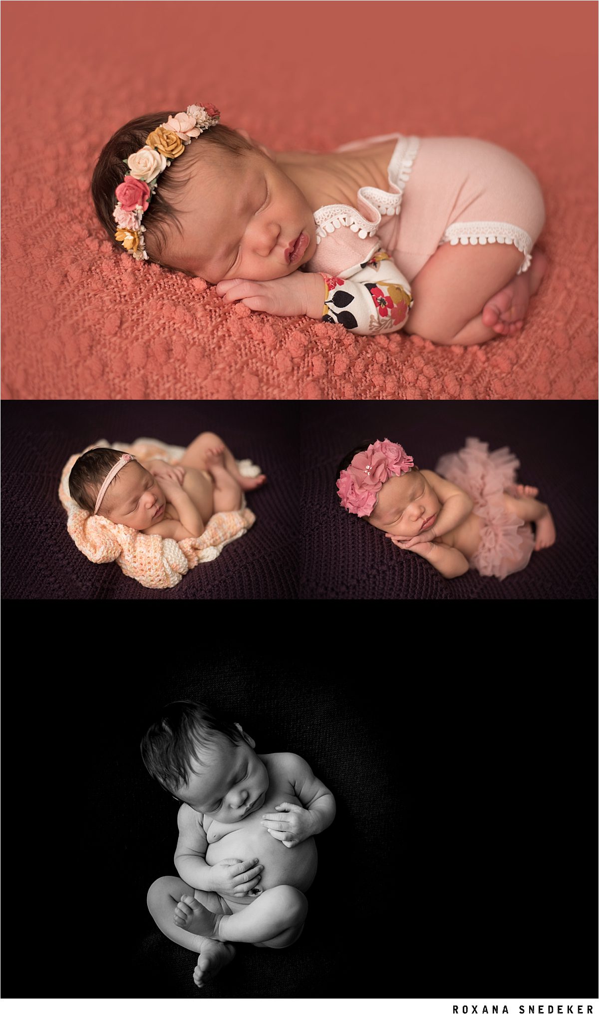 Newborn Photographer in Indy